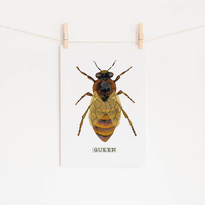 Padrão de Abelha Mel da Rainha Bumble Abelha Decoração, Apicultura por atacado de Candace Fincher