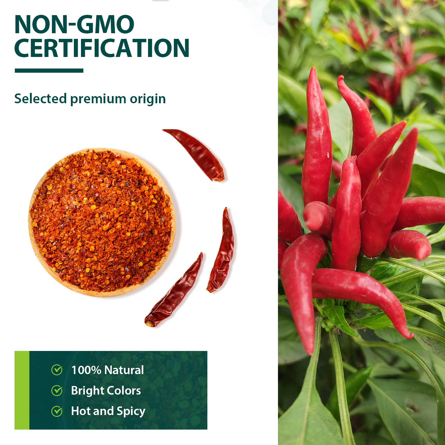 soeos - Venta al por mayor Especias secas - Copos de chile de Sichuan Premium Soeos, 16 oz2