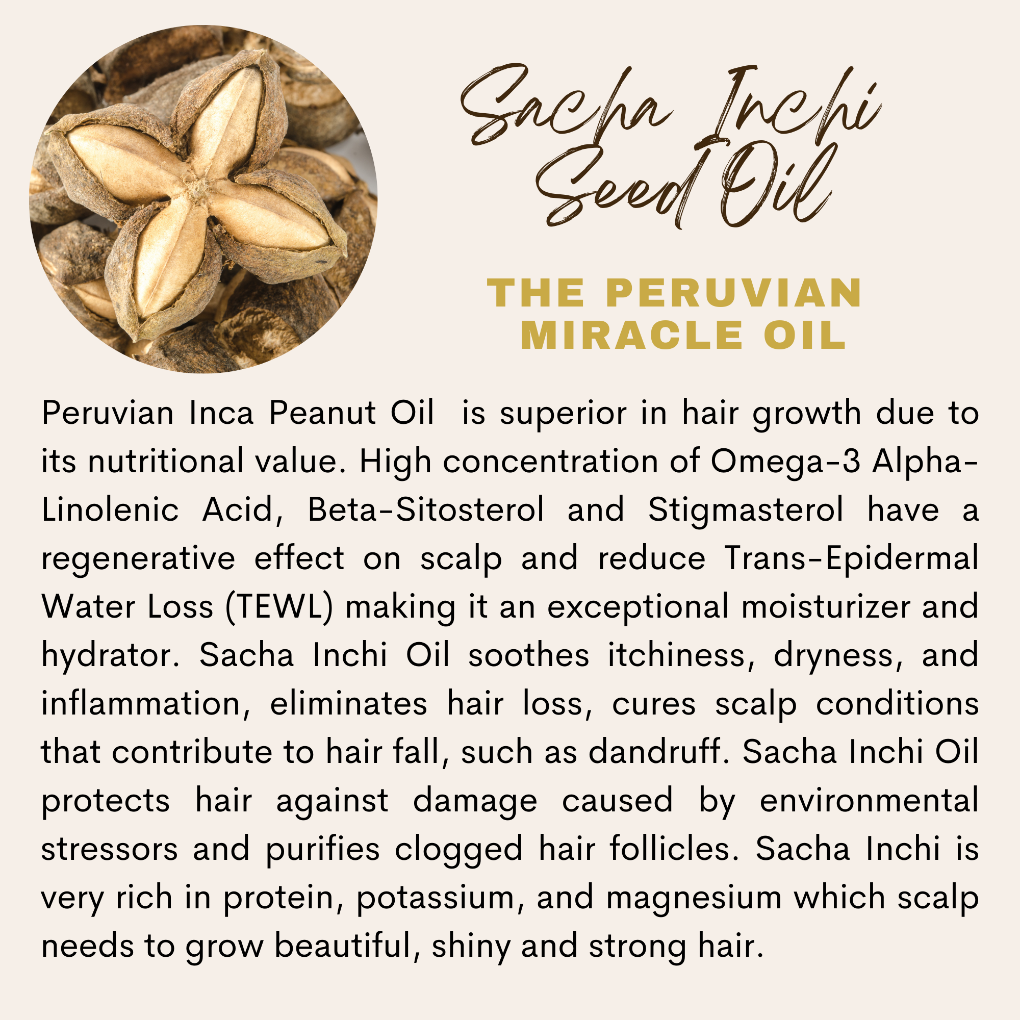 The Sacred Essence – wholesale Hårolja – HÖGRE VISDOM - 16 Kraftfull hårväxt och stärkande oljor6