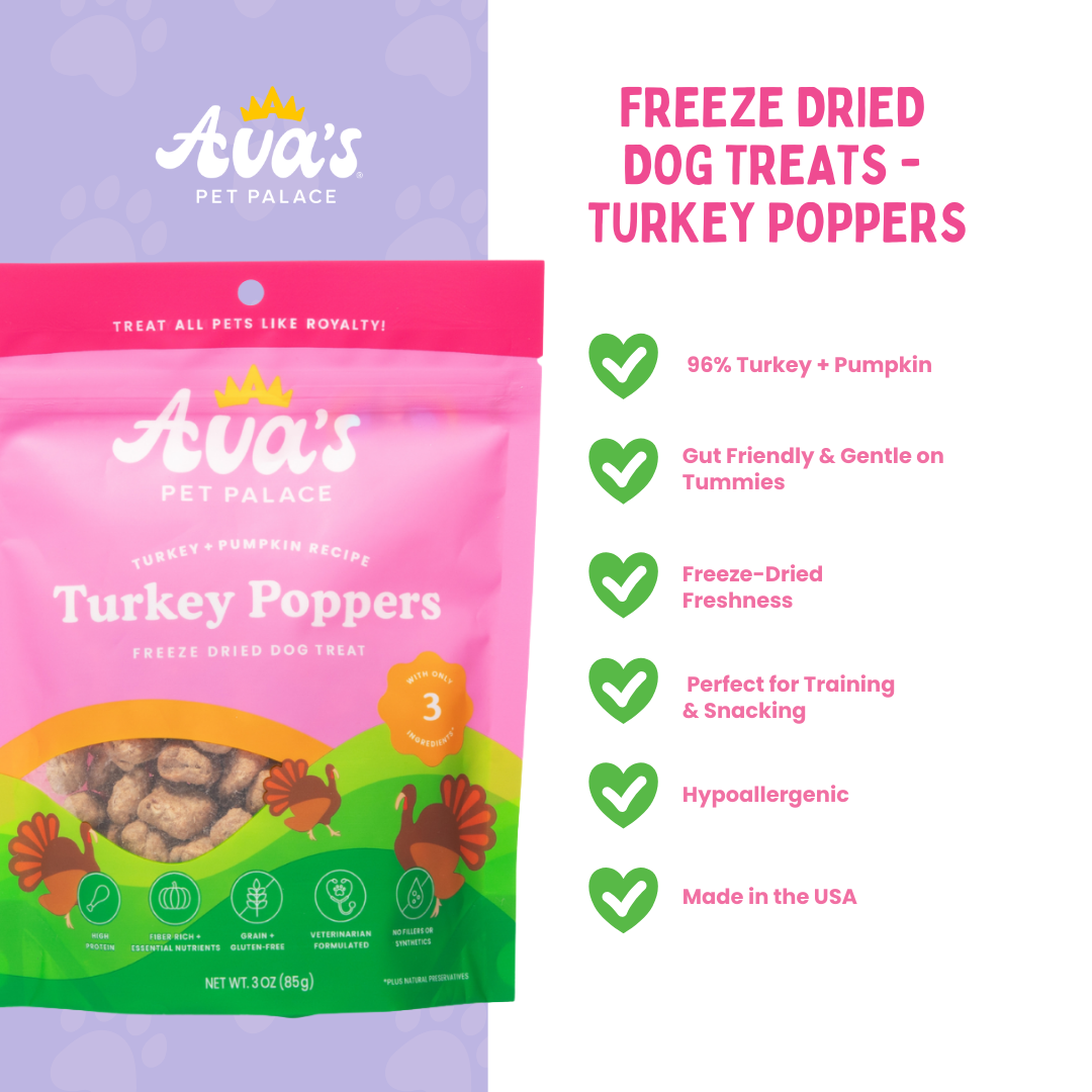 Ava's Pet Palace - Wholesale Pet Treats - Dog - Freeze Dried Dog Treats - Turkey + Pumpkin1