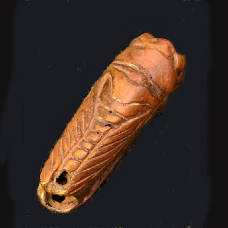 Tiger Tiger Beads LLC - Wholesale Beads - Small Cicada Bead by Bob Burkett in Bronze2