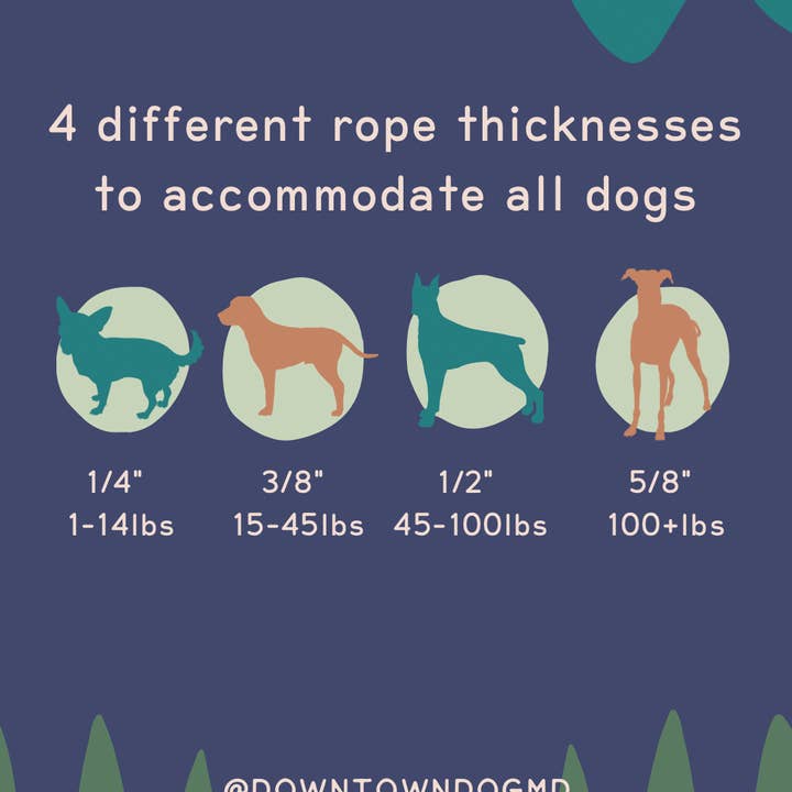 Downtown Dog – wholesale Pet leash – Dog – Aquamarine Dog Leash // Cotton Rope Lead4