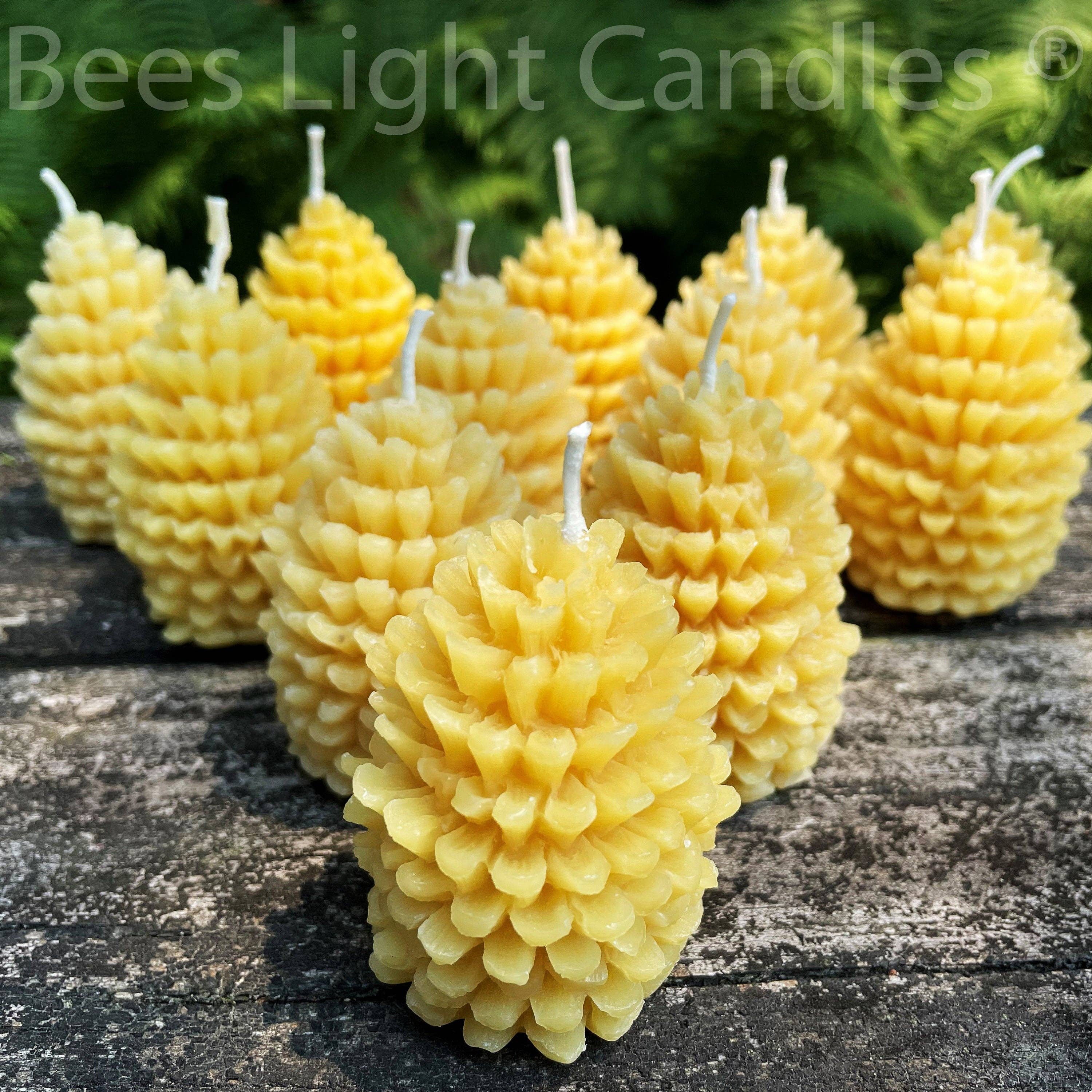 Bees Light Candles - Wholesale Novelty Candle - One Dozen Pinecone Beeswax Candles1