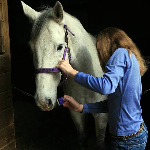 Annie Oakley Natural Perfumery - Vente Présentoirs de commerçant - Beauté et bien-être - Préemballage Journeys™ Lavande™4