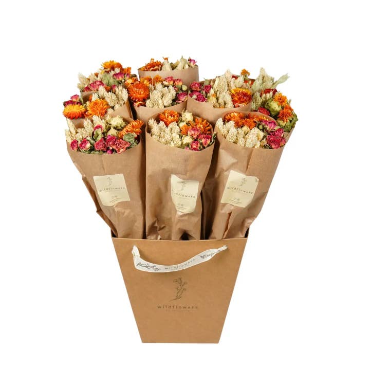 Dried Flowers - Market Bouquet - Orange for wholesale by Penny + Clover