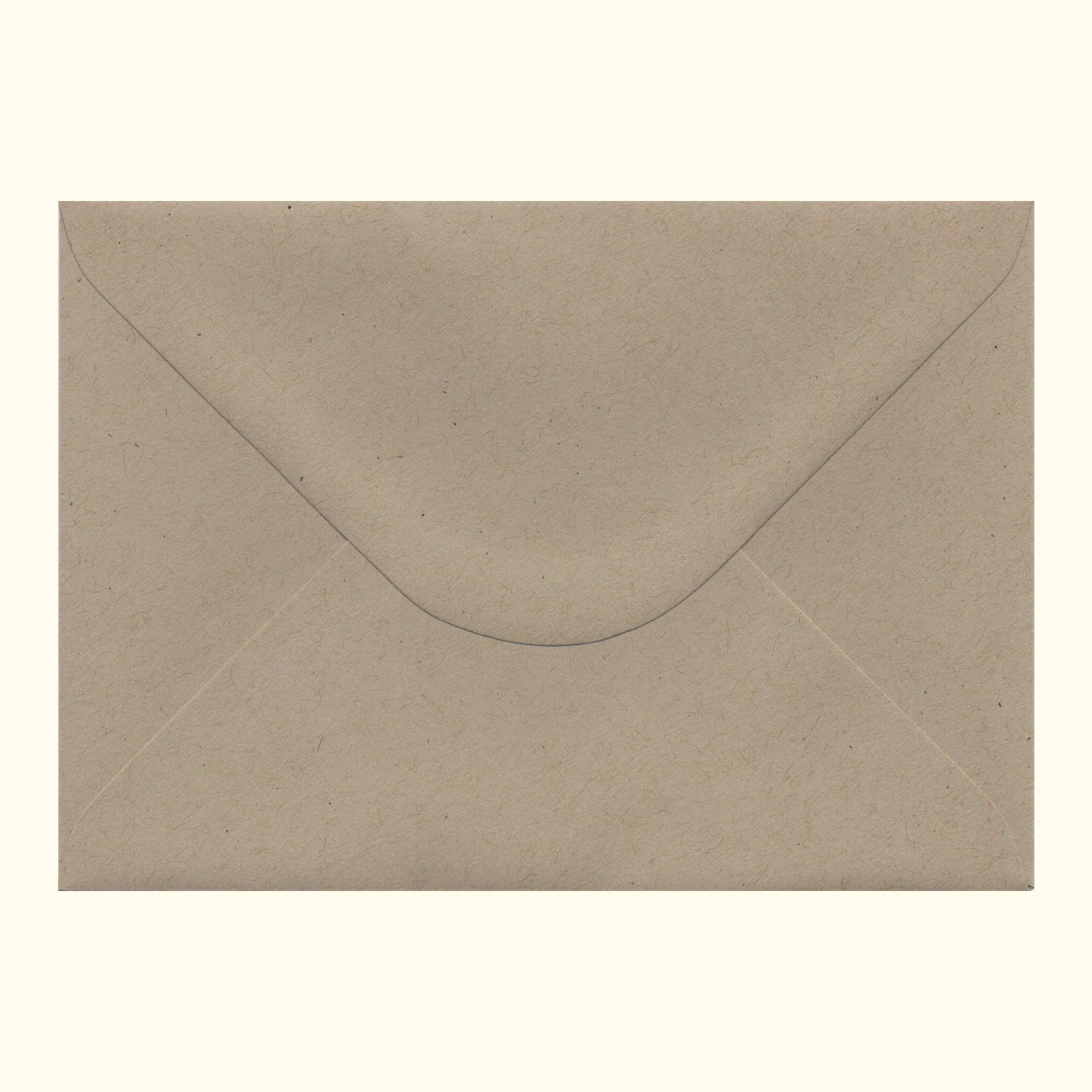 Critter Critter - Wholesale Good Luck Card - Good Luck Bug1