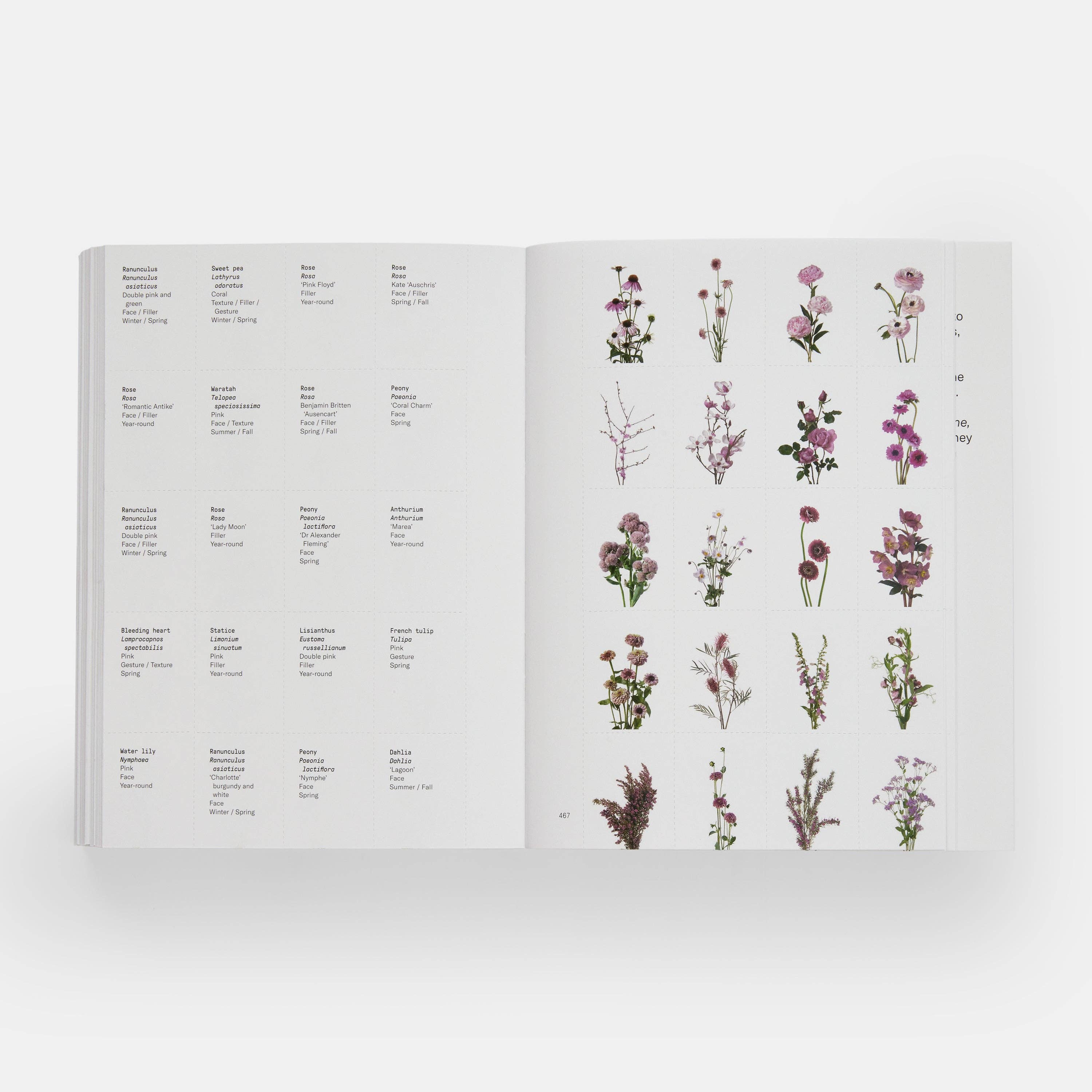Phaidon Press – wholesale Book – Adult – Flower Colour Guide7