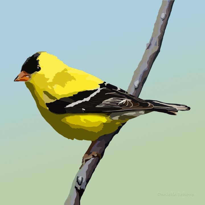American Goldfinch Art Print for wholesale by Lehoux Art