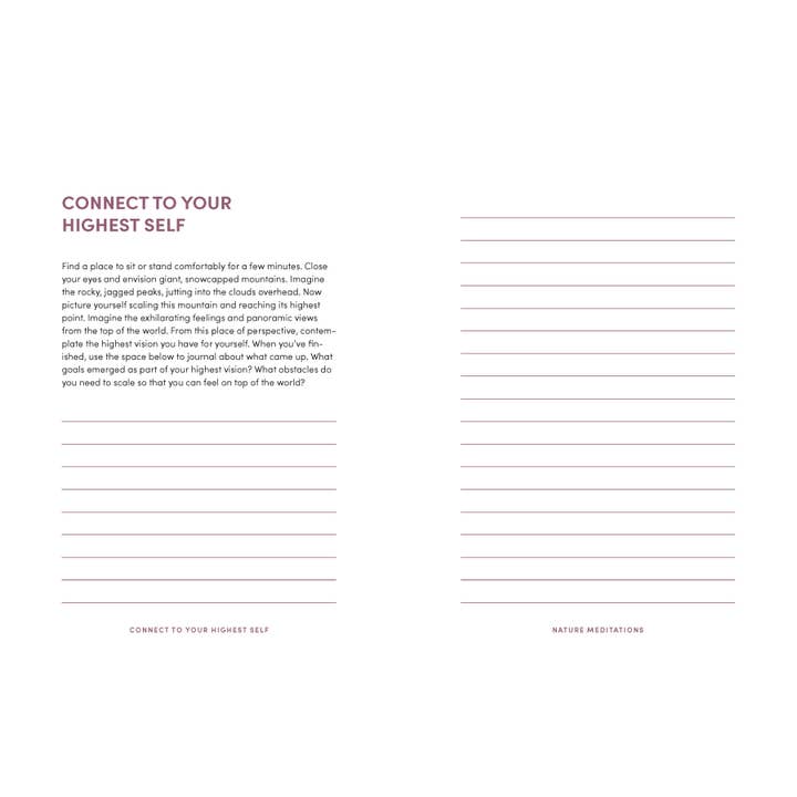 Chronicle Books - Wholesale Journal/Diary - Nature Meditations Journal4