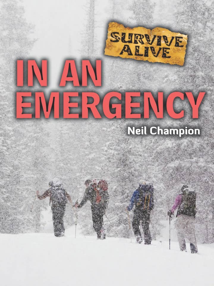 In an Emergency for wholesale by Amicus Publishing