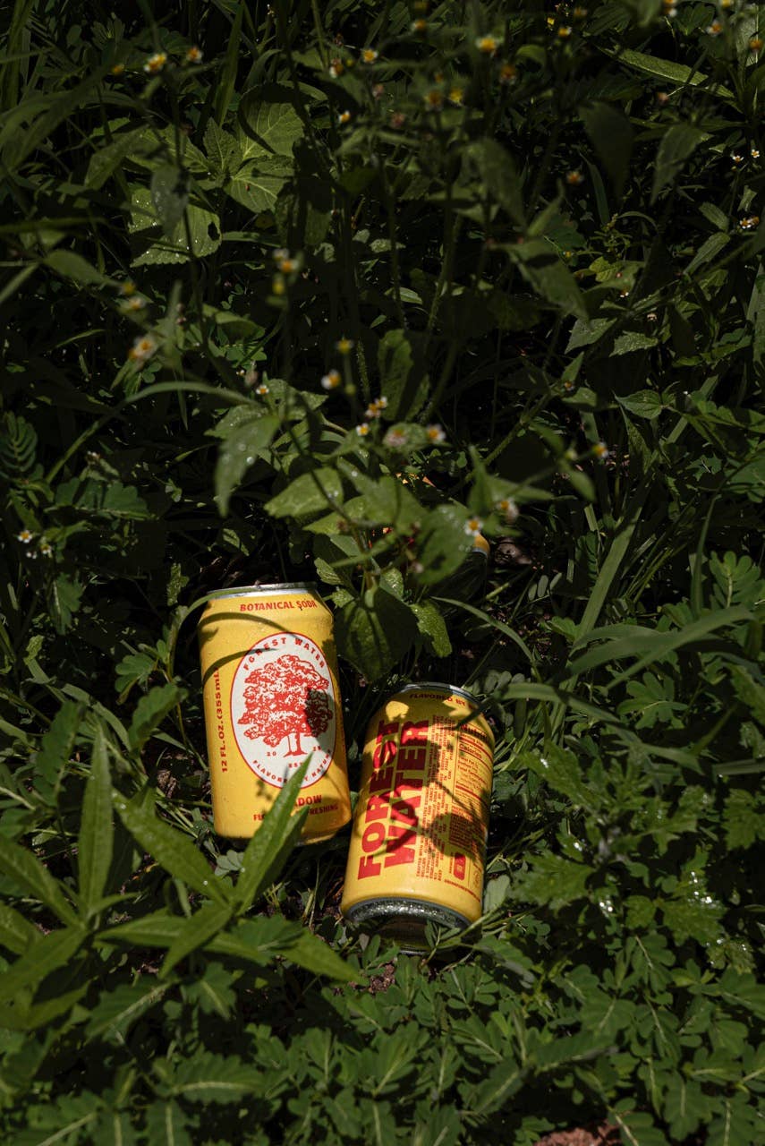 Walker Brothers - Wholesale Non-Alcoholic Aperitif/Mocktail - Meadow Forest Water | Non-Alc Botanical Soda3