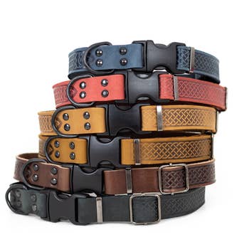 Euro clearance dog collars