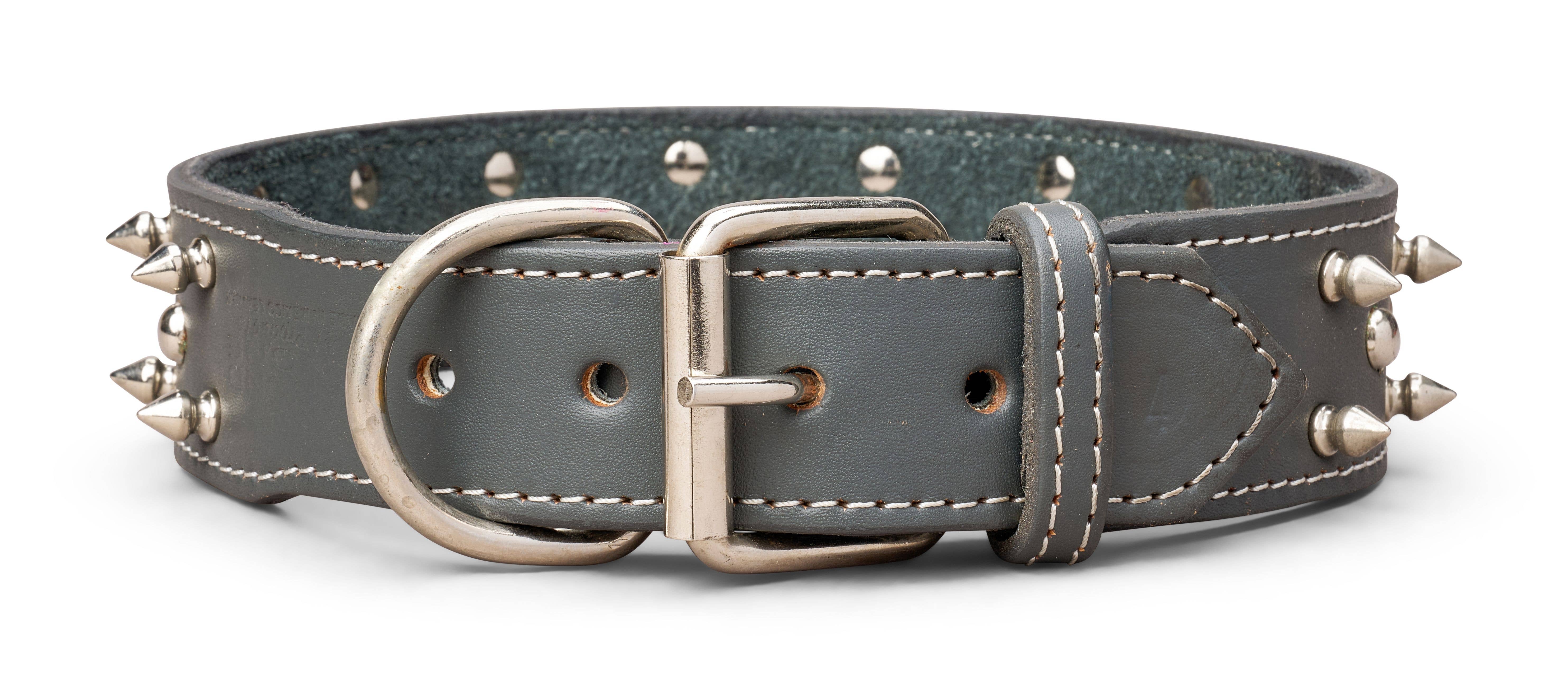 TOP DOG BRAND INC - Vente Collier – chien - Colliers en cuir à pointes de 1 3/4 pouce de large5