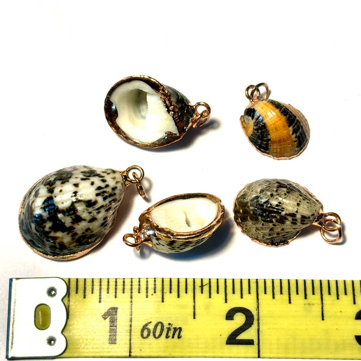 Whitestone Jewelry Co. - Wholesale Individual Charm/Pendant - Limpet Shell Pendants Case of 5 2