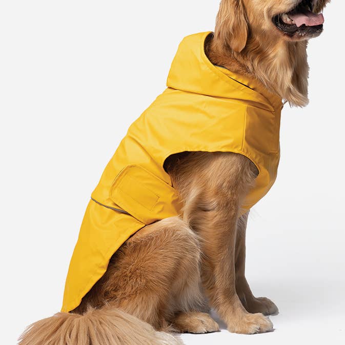 Aden 2.0 Hunde Regnfrakke Gul for engroshandel hos Silver Paw