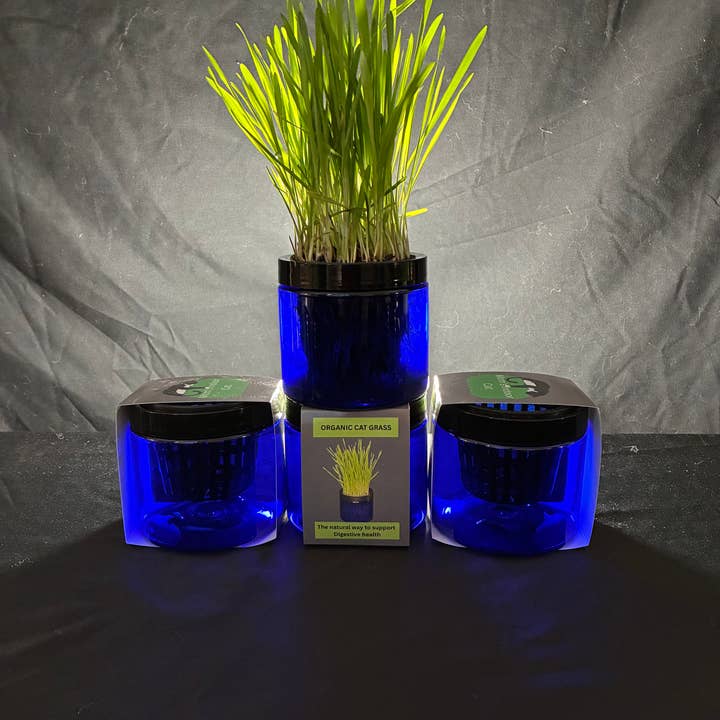 Mom’s Indoor Cat - Wholesale Pet Treats - Cat - Modern Organic Cat Grass Garden in Stylish Jar1