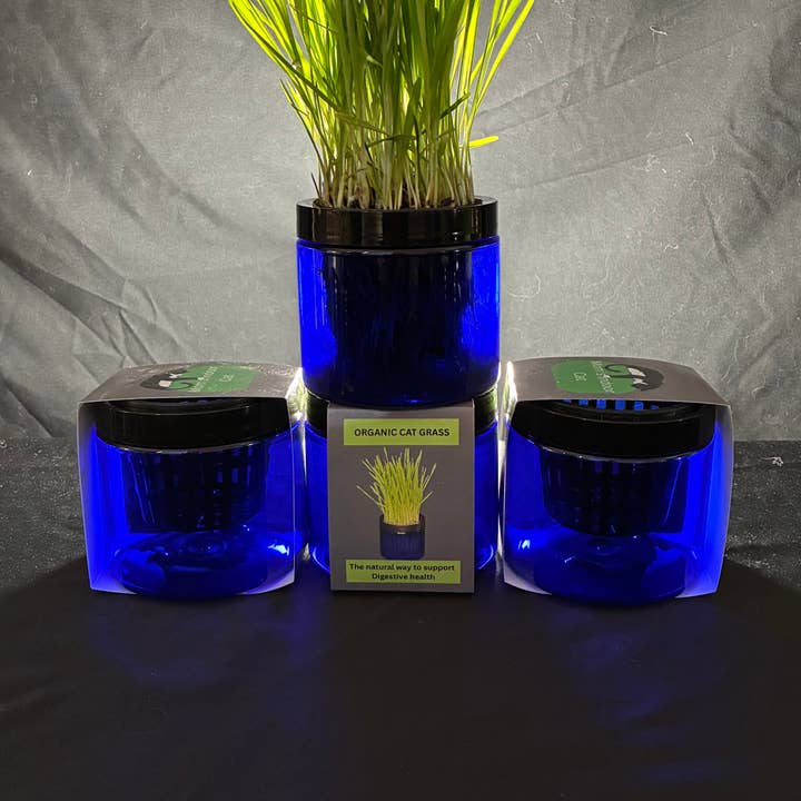 Mom’s Indoor Cat - Wholesale Pet Treats - Cat - Modern Organic Cat Grass Garden in Stylish Jar 1/2 case