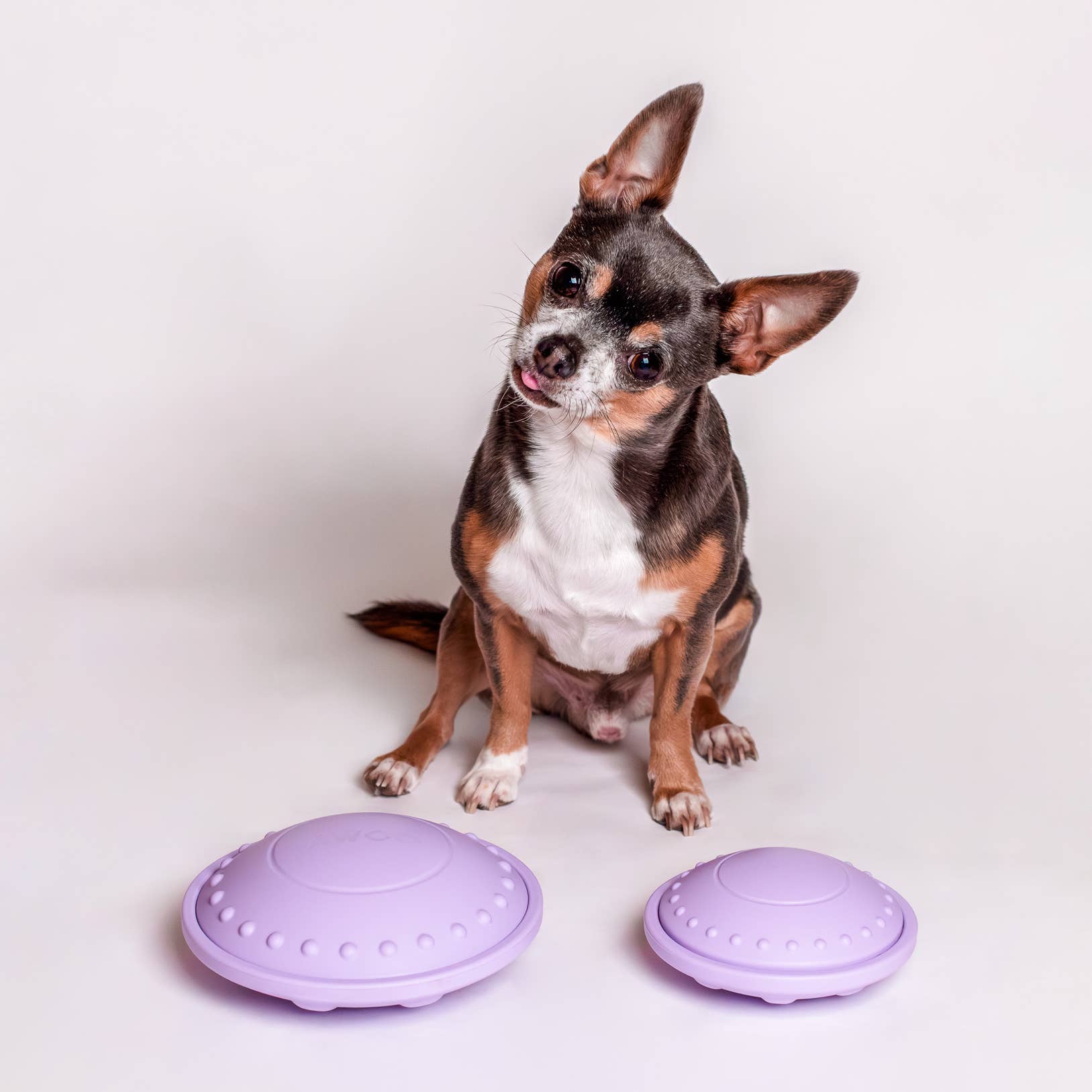 Awoo – wholesale Pet toy – Dog – Flying Saucer Silicone Puzzle Toy4