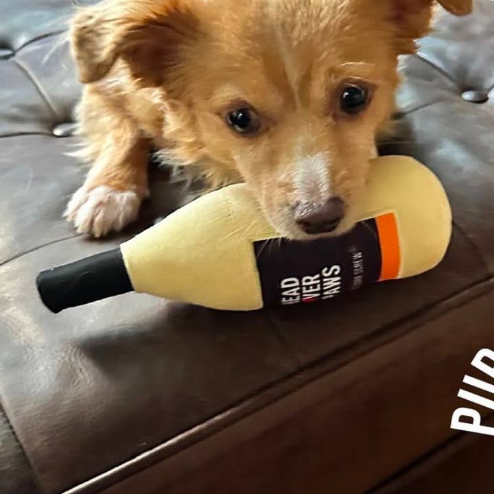 Sip & Squeak par Love Cork Screw pour la vente par The Lampley