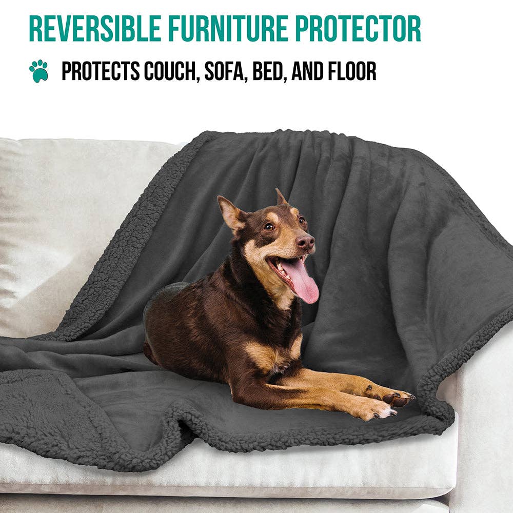 PetAmi - Vente Couverture – chat et chien - Couverture pour animaux en polaire réversible75