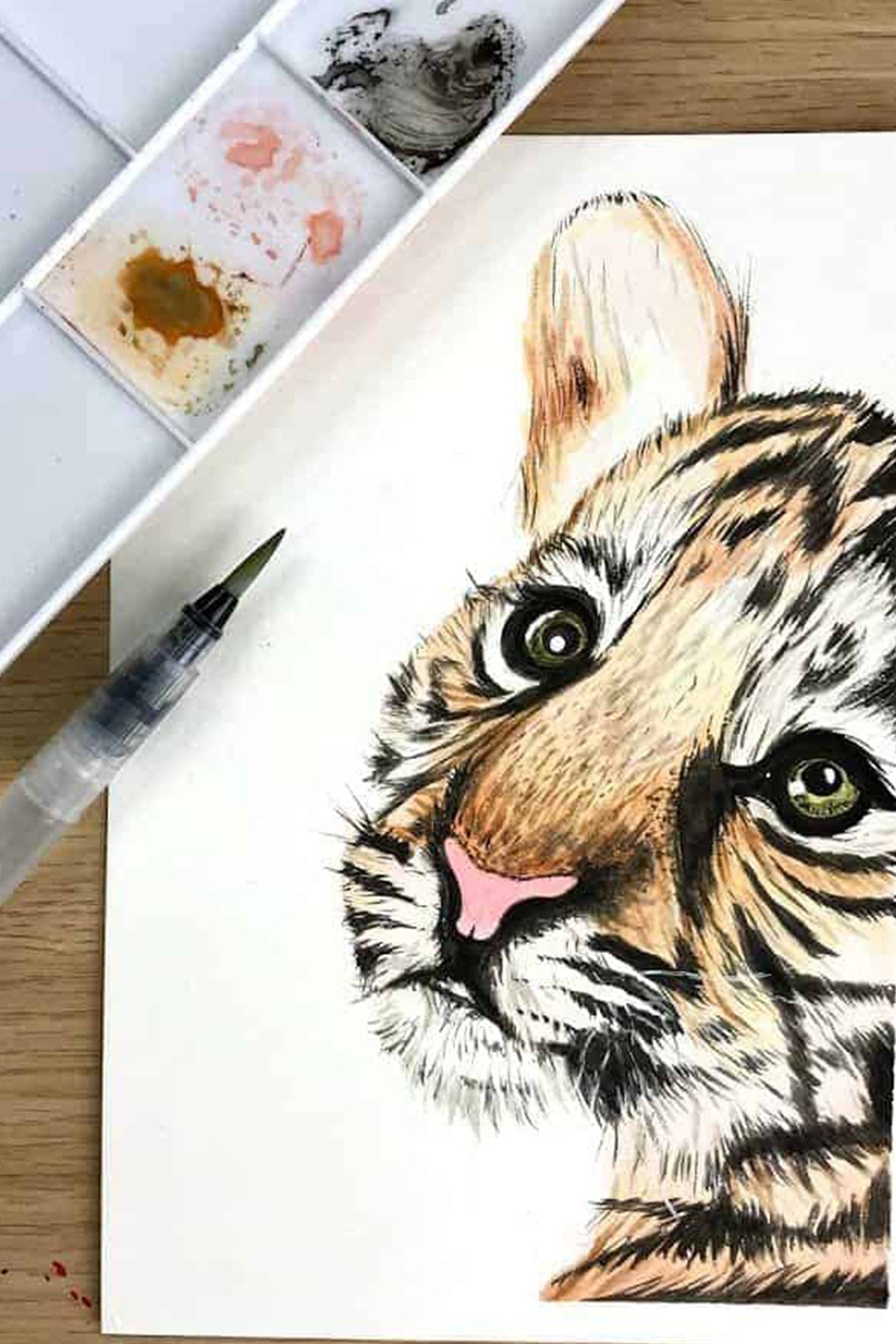 Chartpak, Inc. - Wholesale Watercolor Paint - Zieler Premium 24 Half Pan Watercolor Set with Brushes6