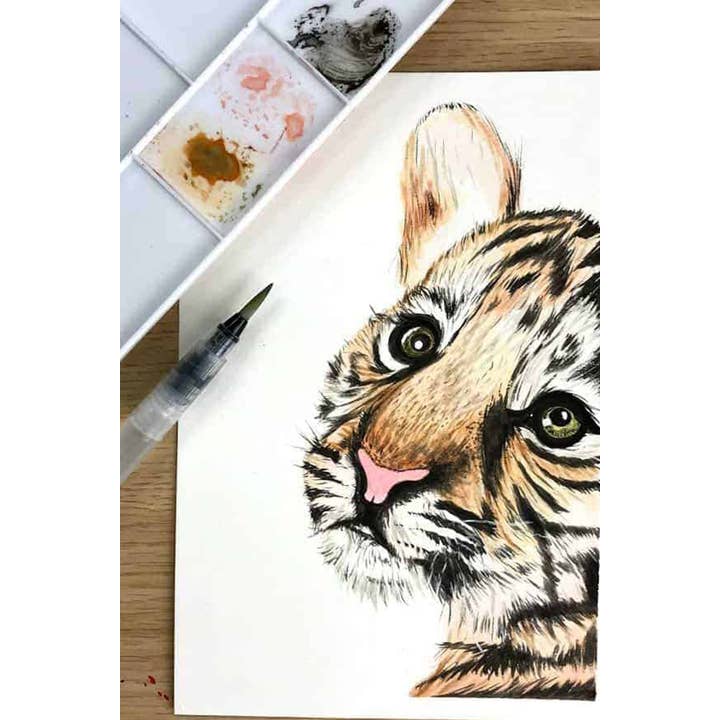 Chartpak, Inc. - Wholesale Watercolor Paint - Zieler Premium 24 Half Pan Watercolor Set with Brushes6