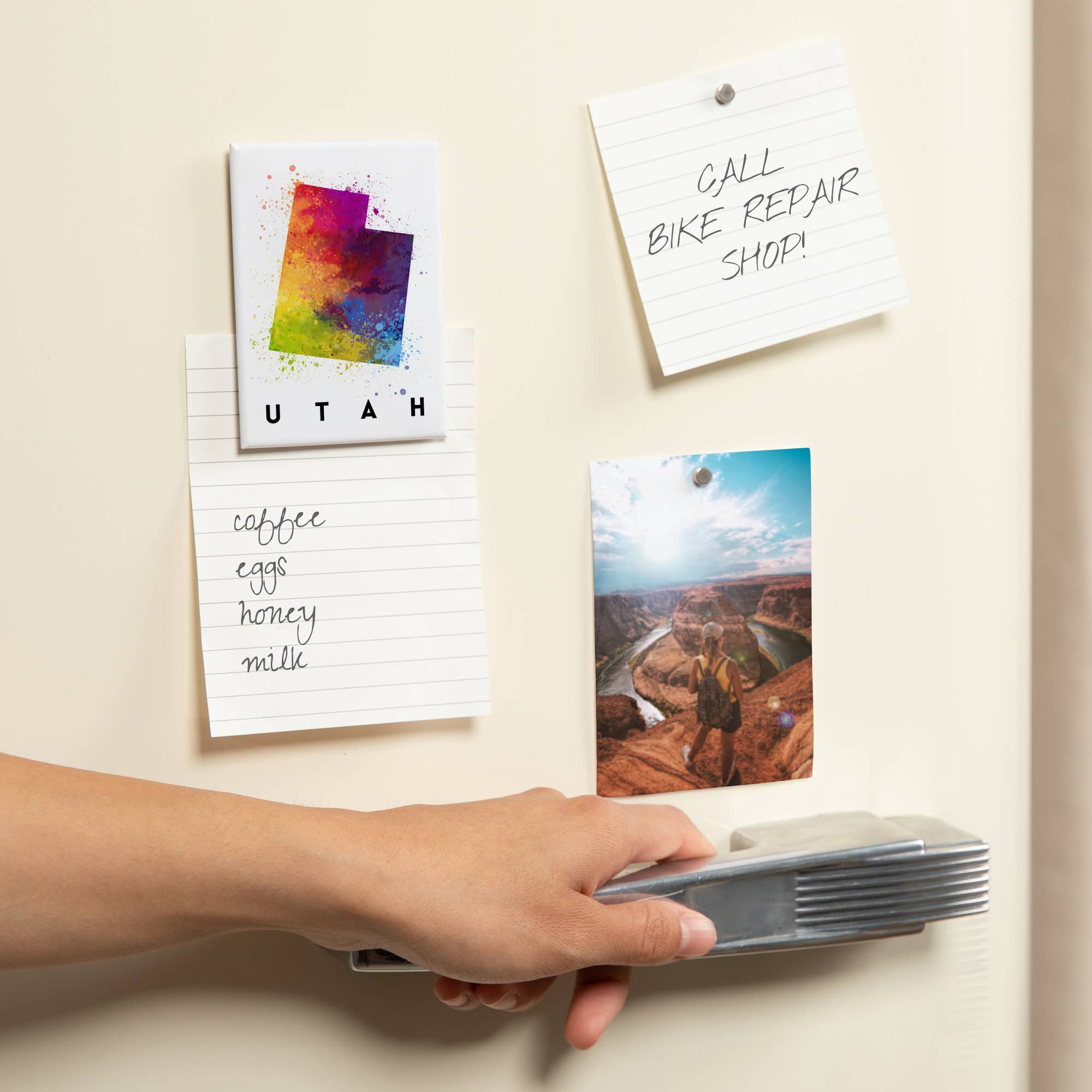 Lantern Press - Vendita all'ingrosso Calamite - MAGNET Utah, State Watercolor1