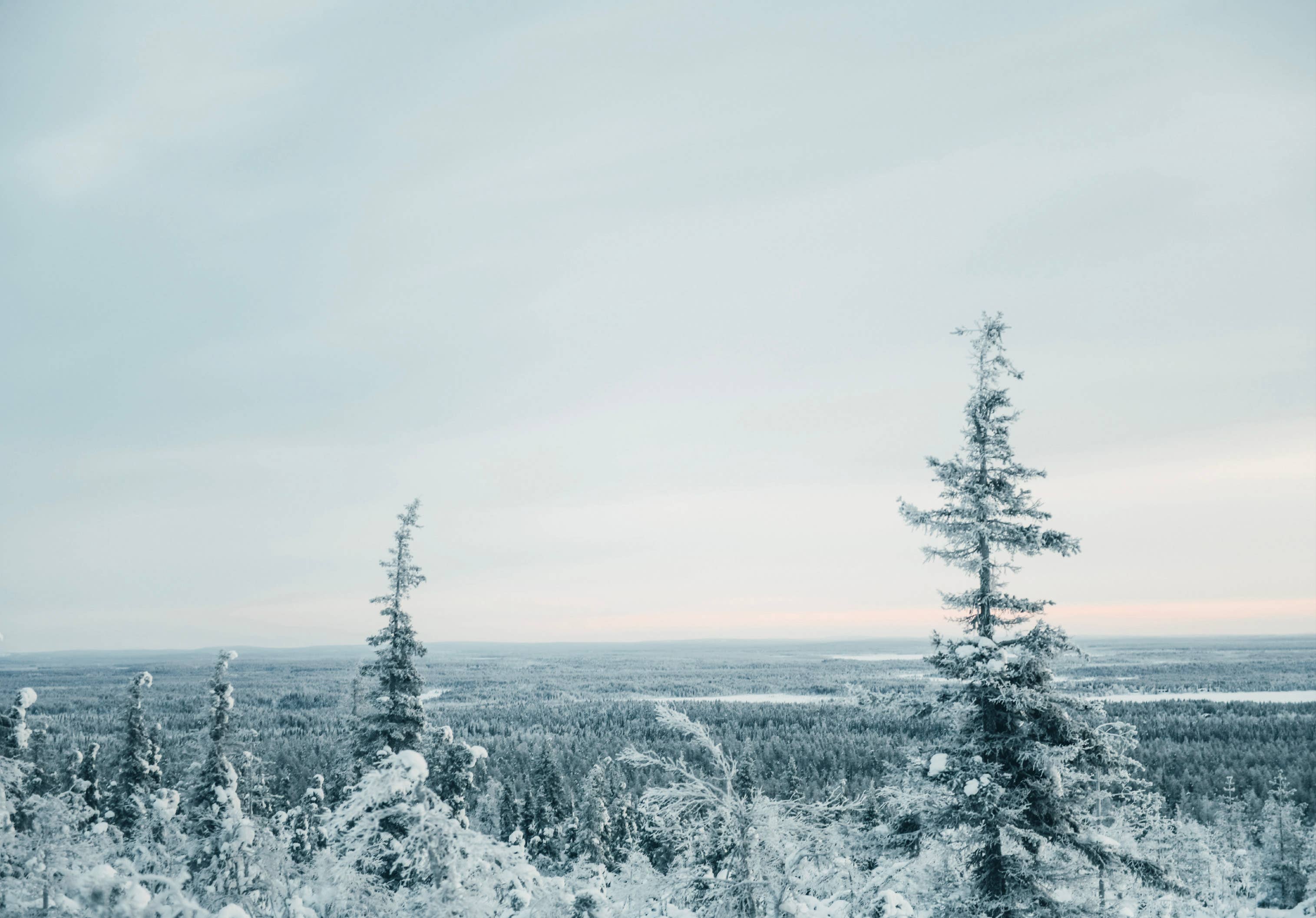 Cozy Publishing - Vente Livre sur l'artisanat, les loisirs créatifs et le bricolage - I Made This For You – Cadeaux et décorations de Noël faits avec amour8