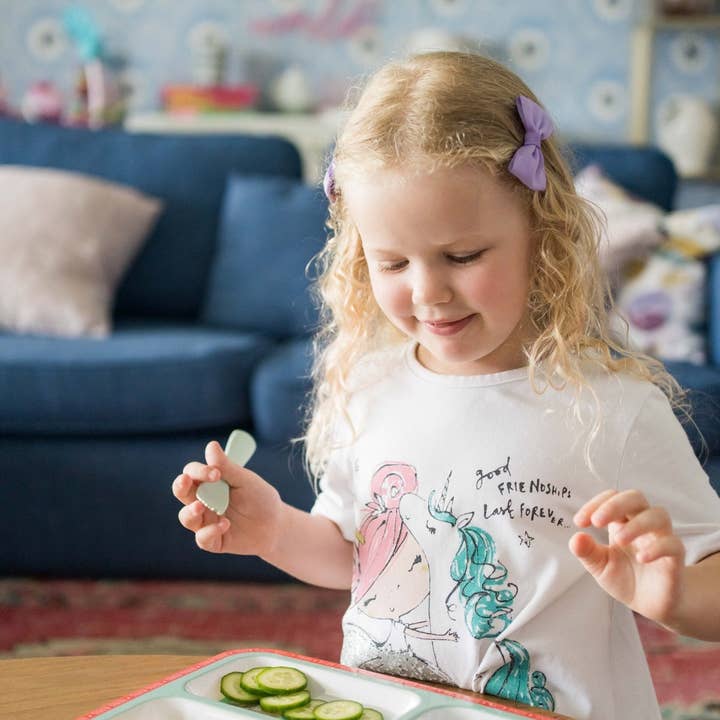 The Lion Rock Press - Wholesale Dinner Plate - Kids & Baby - KIDS PLATE: Hong Kong Transport1