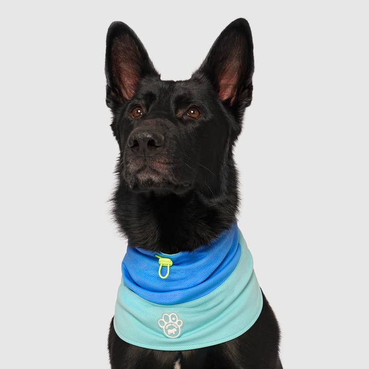 Max Chill Cooling Snood for wholesale by Canada Pooch