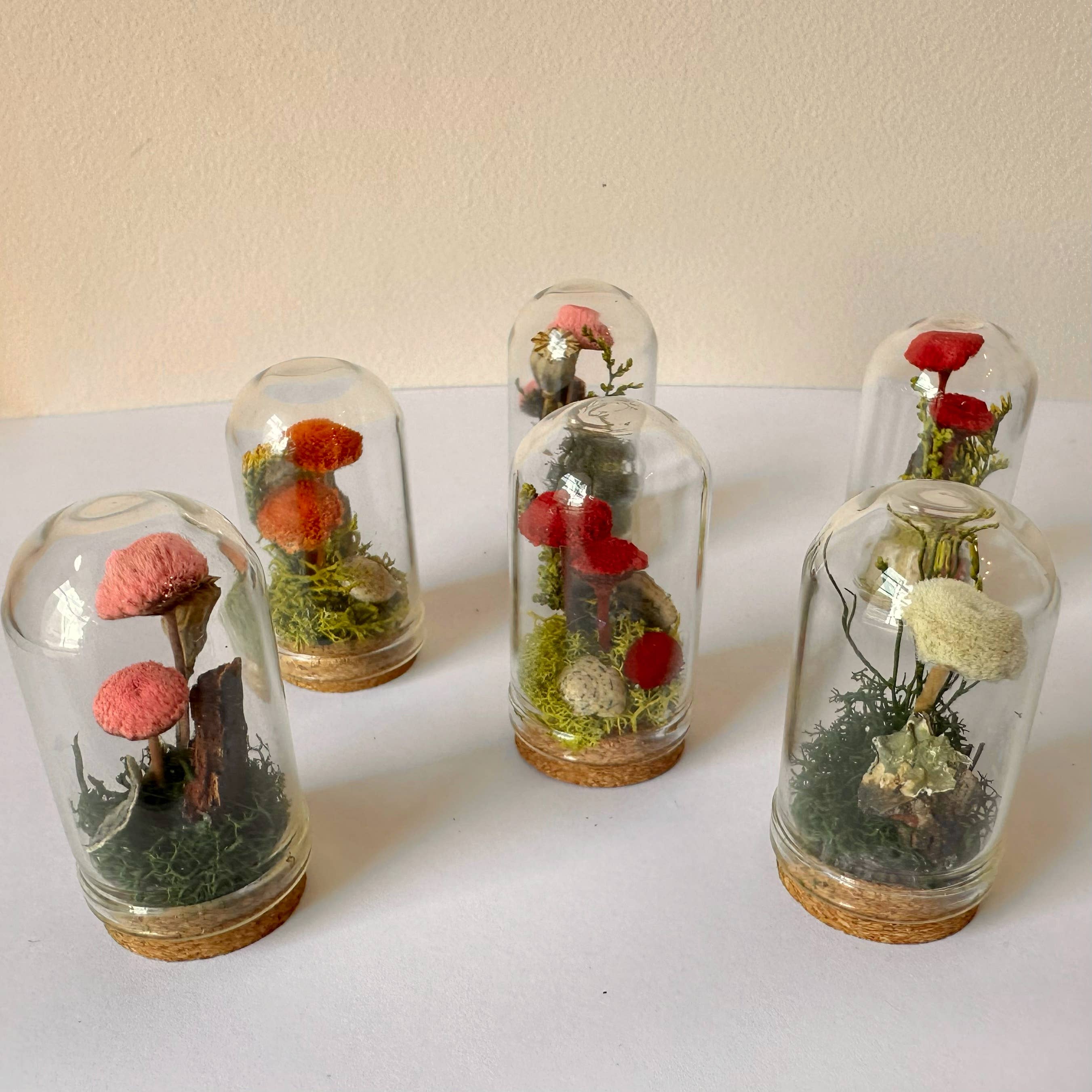 CA Studios - Wholesale Terrarium - Mushroom Mix Terrarium Glass Cloche Cork Jar & Florals8