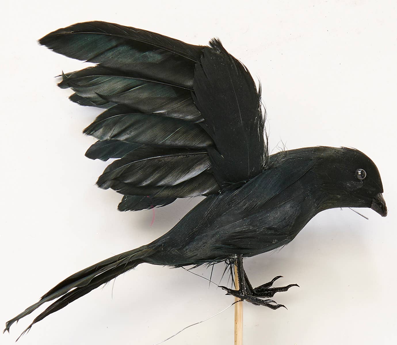WORTH IMPORTS - Wholesale Ornament - 6" Feather Open Wing Crow on 12" Stick1