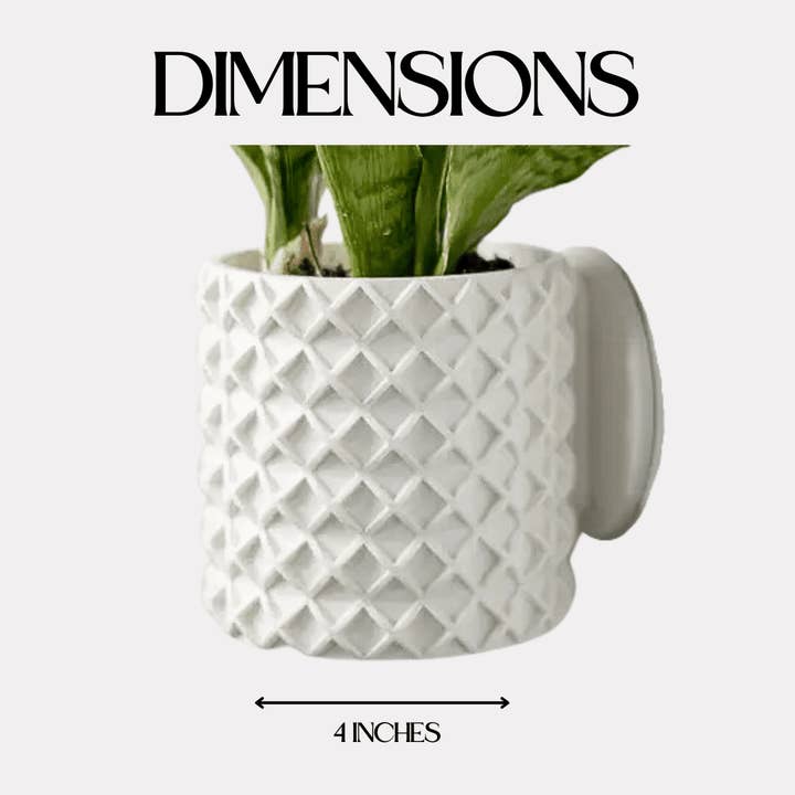 Chatelet - Wholesale Wall Planter - Bubble Lattice Wall Planter | 4" Diameter Modern Wall Planter Pot | Made in USA6