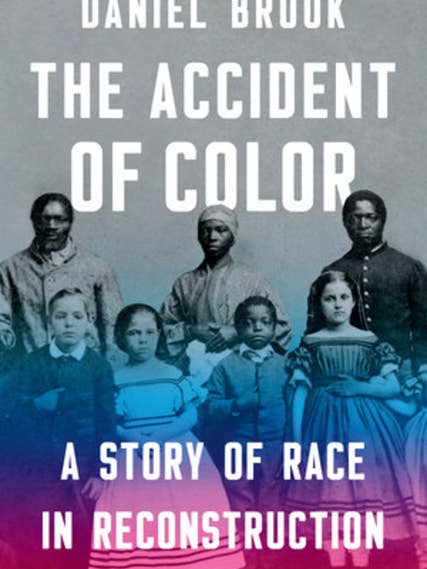 Accident Of Color: A Story Of Race In Reconstruction for wholesale by Bradley's Book Clearance