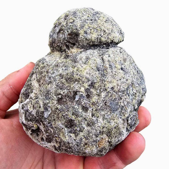 Lapidary Central - Wholesale Spiritual Stone/Crystal - Random Pull Solid Coconut Geode Rough Solid Thunder Eggs6