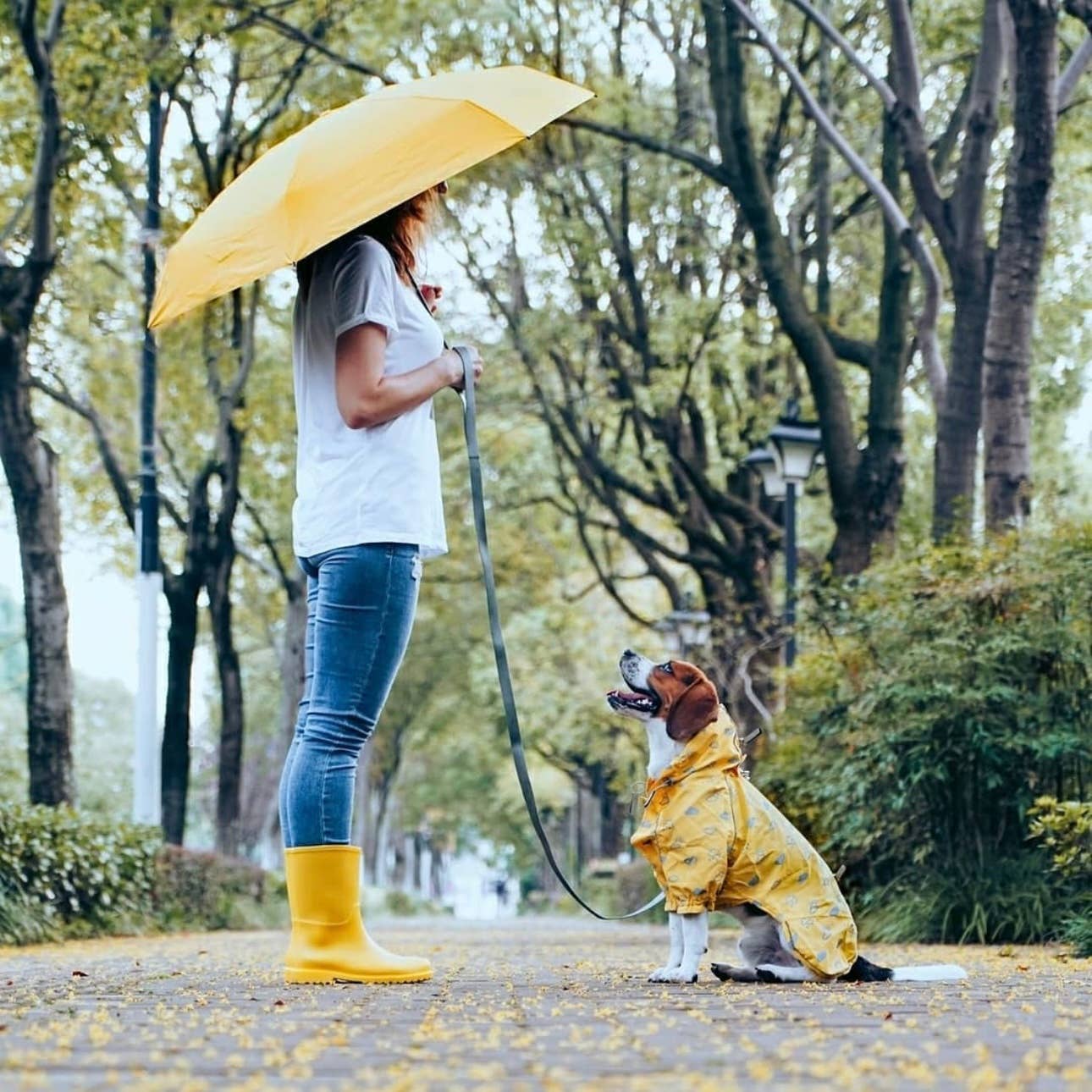 Blueberry Pet - Wholesale Pet Raincoat - Dog - 3 Colors, 2 Legs Reflective Dog Raincoat19