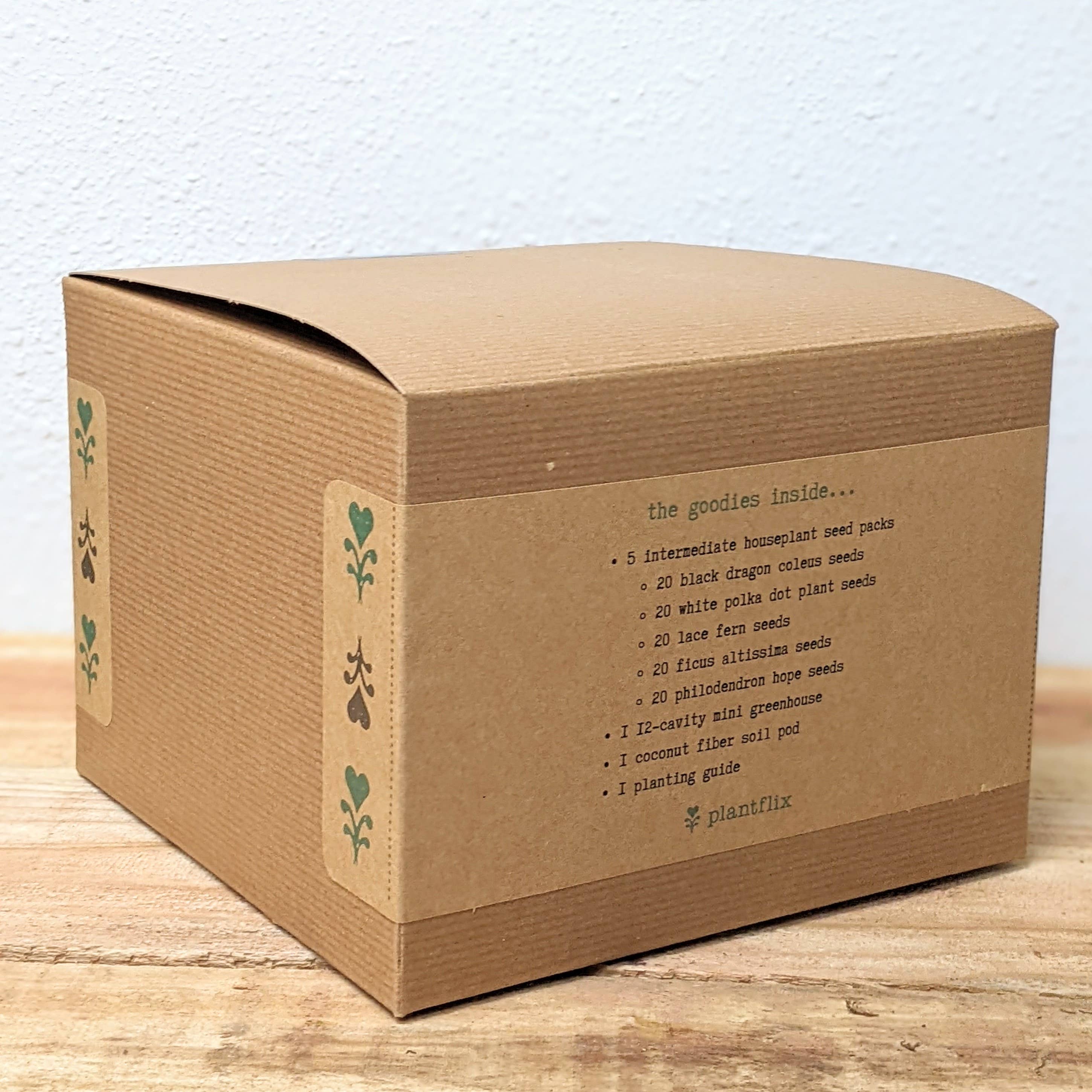 Plantflix - Vente Graines de plantes - Kit de graines pour plantes d'intérieur « Grow an Indoor Jungle »8