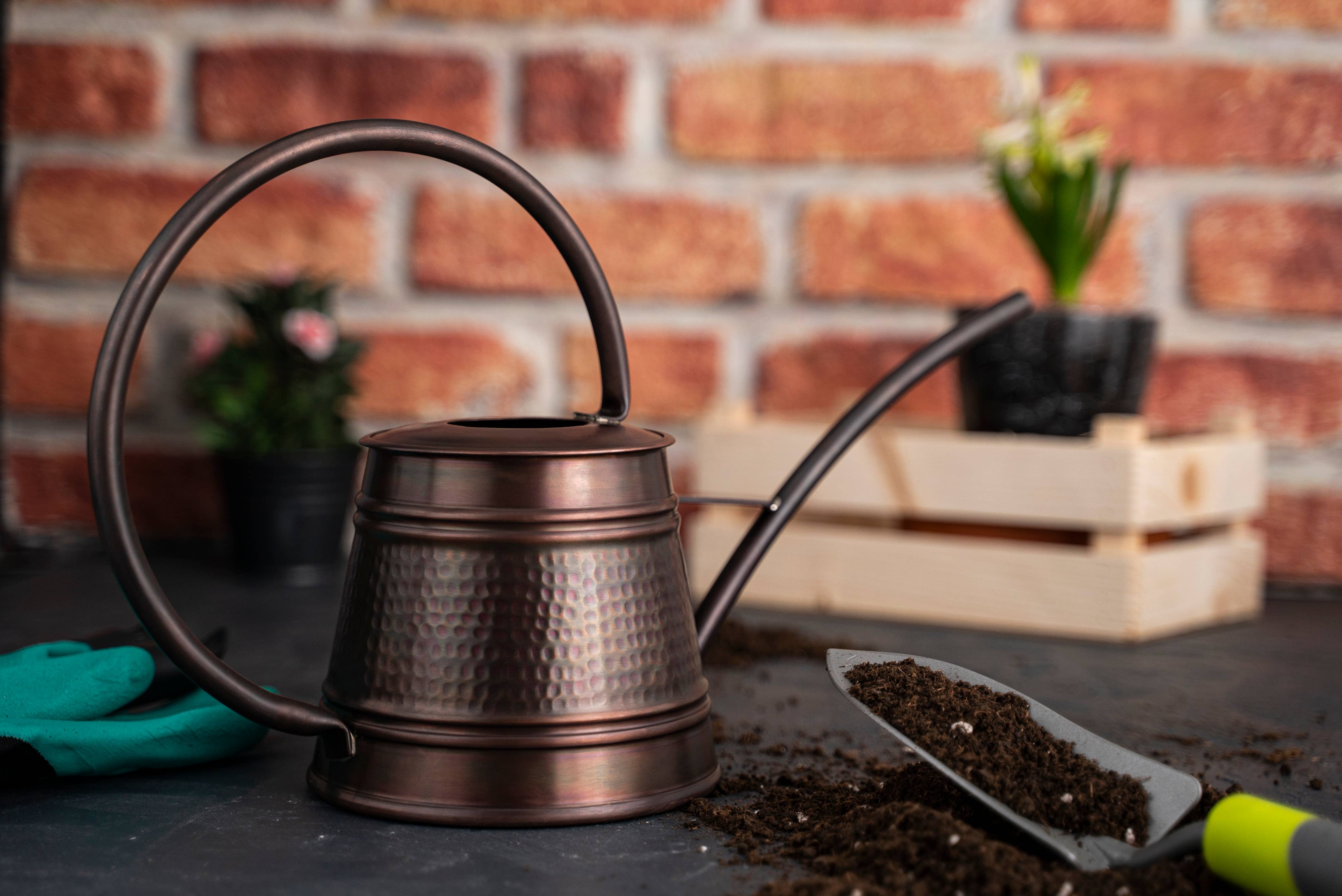 ALFIQ Copper - Wholesale Watering Can - Handmade Solid Copper Watering Can | Copper Planter Pot0