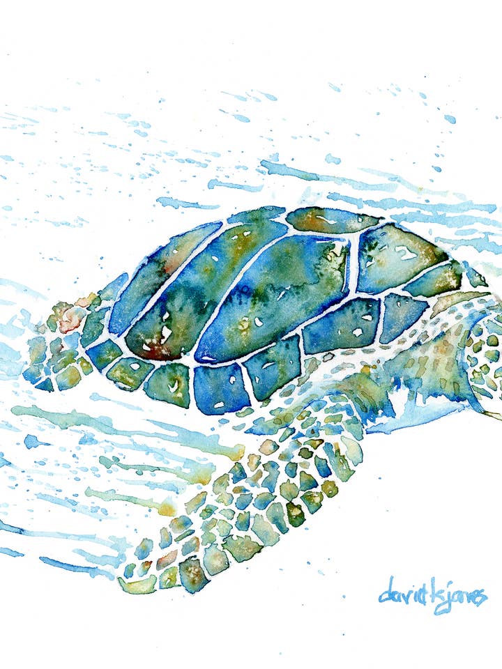 "Seaweed-Top Flyer" (Sea Turtle art print) for wholesale by davidkjonesart