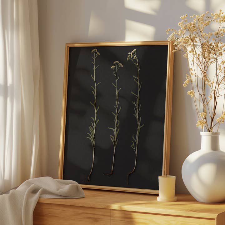 Hope Steinle Pressed Flower Art - Wholesale Art Print - Root Series No. 15