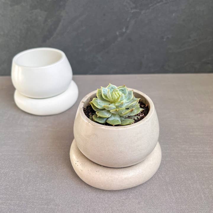 Minimal Loot Design – Engroshandel Plantekrukke – Lille betonplantekasse med dræning, sød plantepotte, bobleplanter, sukkulentplanter, dekorativ potte, moderne potte, nordisk, buttet potte