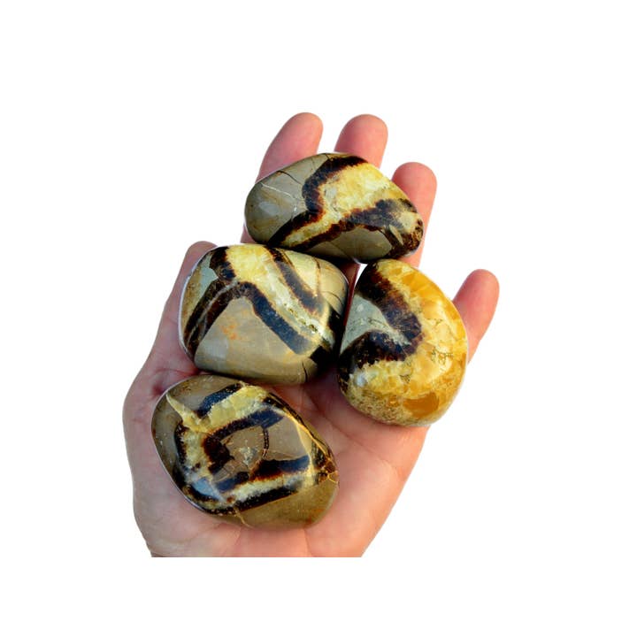 Cristallo Giallo di Septaria Levigato XL (250g, 500g, 1000g) per la vendita all'ingrosso da parte di Kaia & Crystals