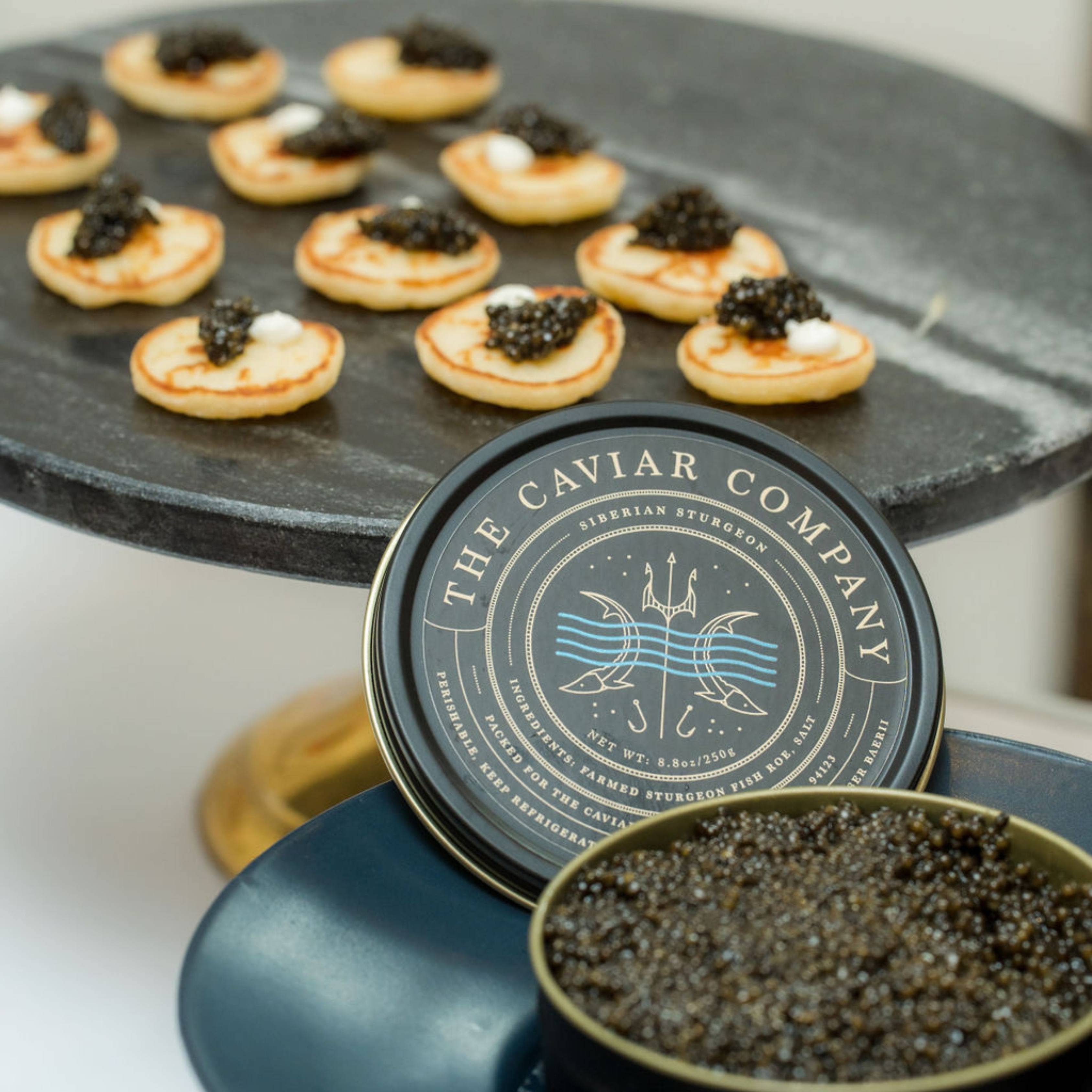 The Caviar Co. - Wholesale Fish/Seafood - Siberian Sturgeon Caviar6