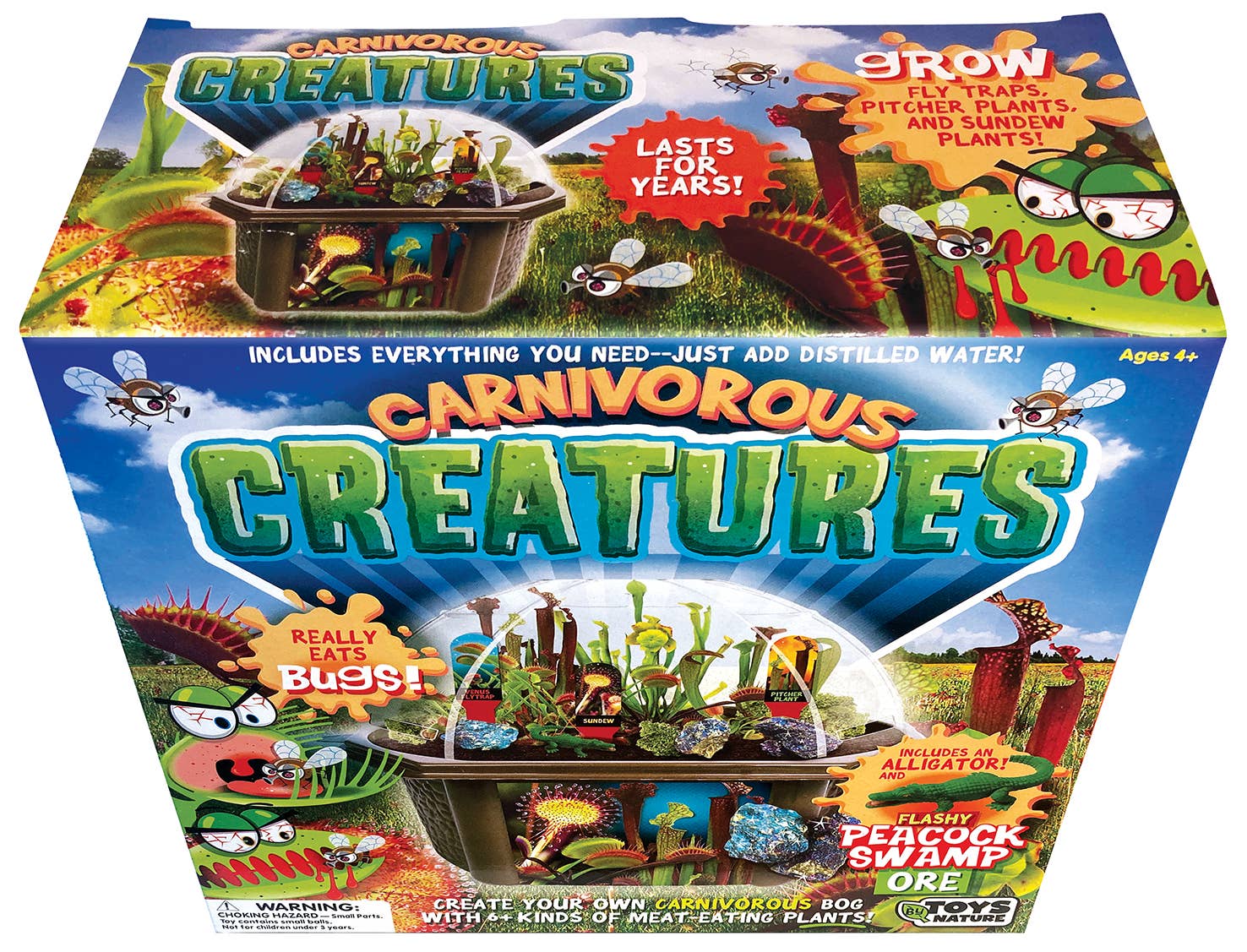 Silver Circle Products - Wholesale DIY Craft Kit - Kids - Carnivorous Creatures Biosphere Meat-Eating Terrarium Kit6