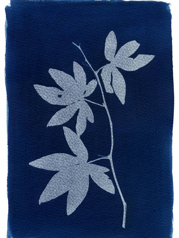 'Passionflower' Botanical Blue Fine Art Giclee Print A4 voor wholesale door Made By McDuff