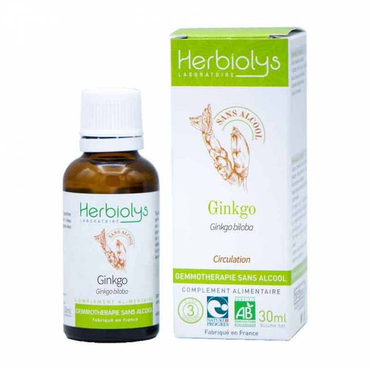 Ginkgo Biloba Gemmothérapie Sans Alcool pour la vente par Herbiolys