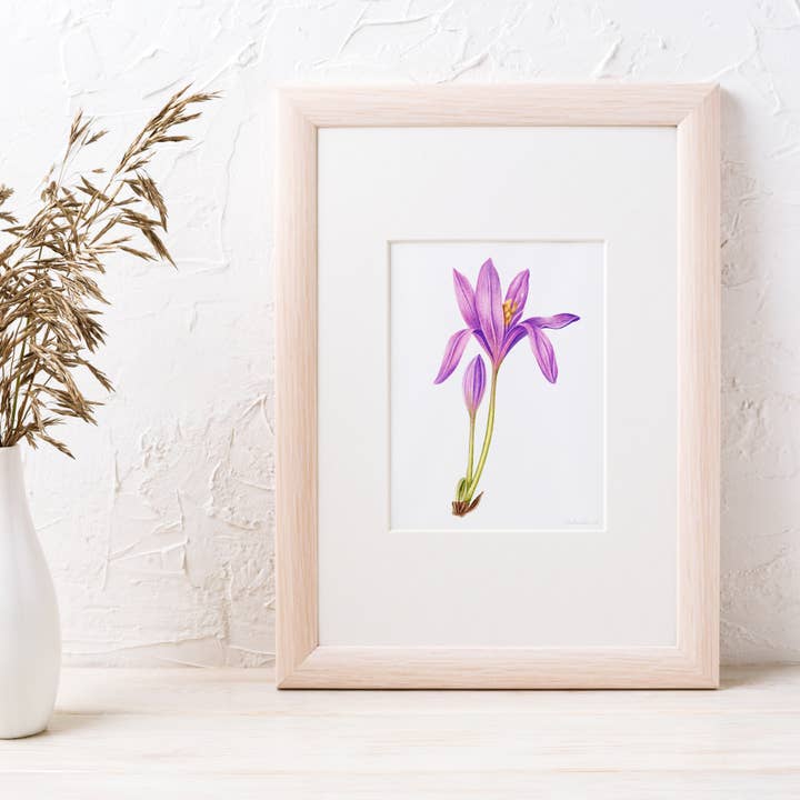 Studio Chelsea - Wholesale Art Print - Floral Art Print, Flower Wall Art - Autumn Crocus Art Print2