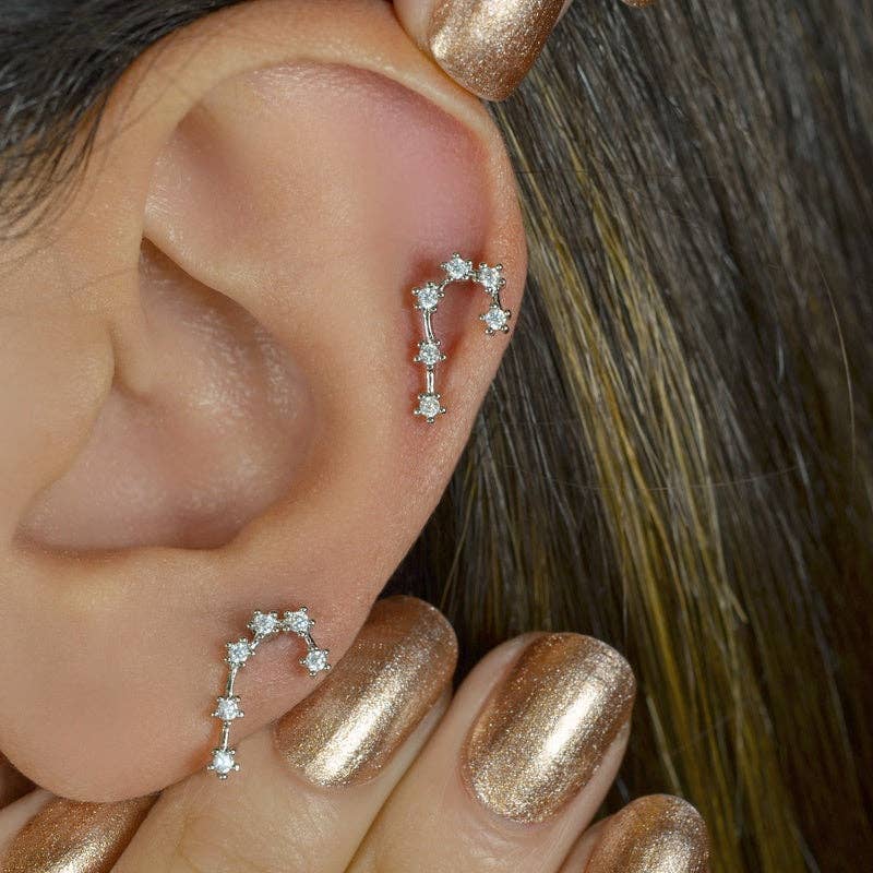 StockJWL - Wholesale Stud/Post Earrings - 12 Zodiac Earrings, Constellation Stud Earring Stud Piercing Tragus Helix Lobe and Cartilage Silver And Gold26