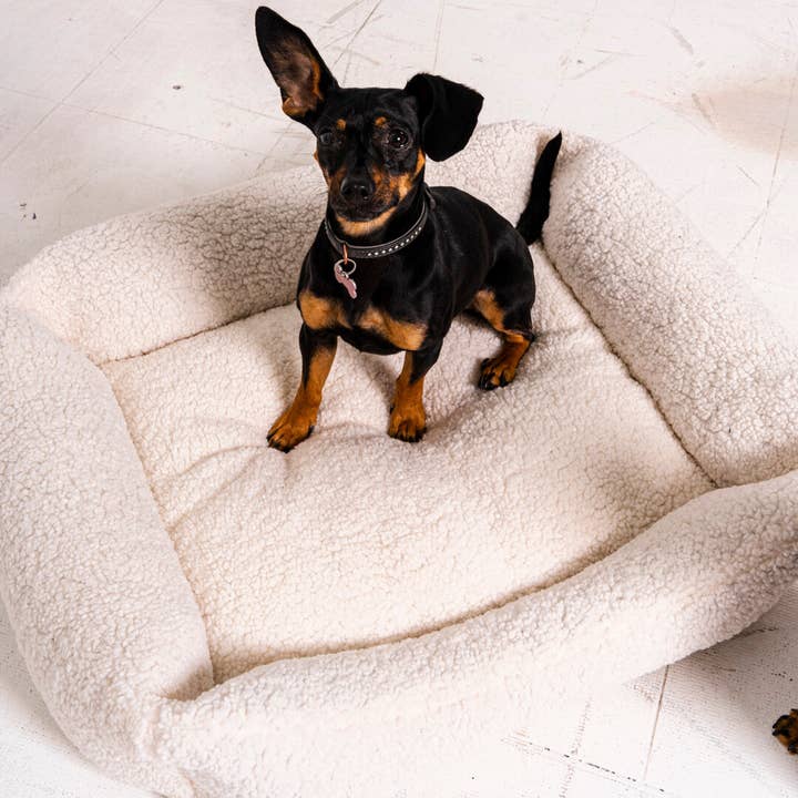 Rexproduct Sp. z o.o. Sp. k. - Wholesale Pet Bed - Cat/Dog - FRIDA TEDDY - beige dog bed + mattress for dogs and cats9
