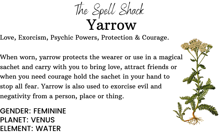 Witchuals - Rituals & Spellwork Apothecary – wholesale Meditation supplies – Yarrow2